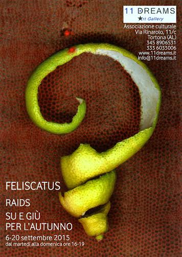 Feliscatus - Raids. Su e giù per l'autunno